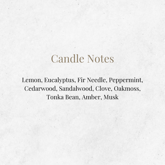 Officially Licensed Enzo - The H D Carlton Collection