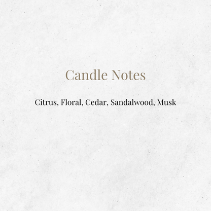 Officially Licensed Rhysand - The Sarah J. Maas Collection